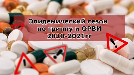 Эпидемический сезон по гриппу и ОРВИ 2020-2021 гг.