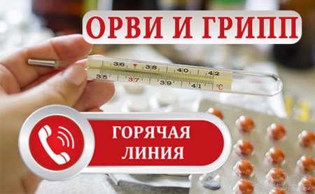 Горячая линия грипп